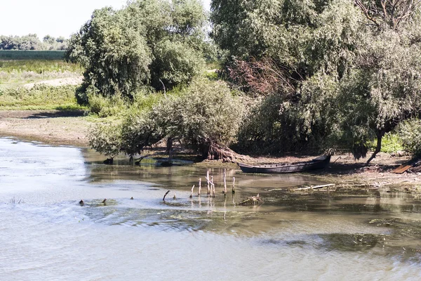 Danube Delta landscape — Stock Photo, Image