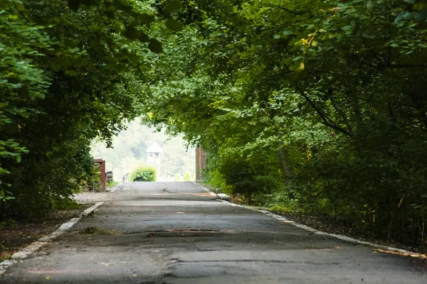 Drogi asfaltowe w zielonym parku — Zdjęcie stockowe