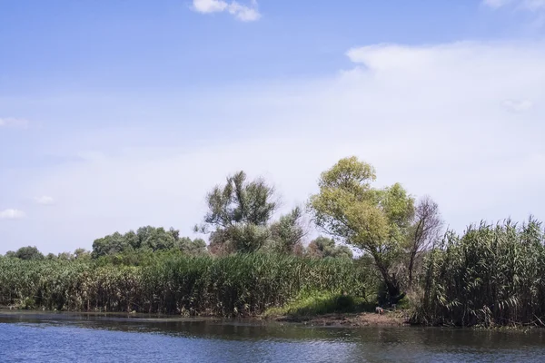 Danúbio Delta paisagem — Fotografia de Stock