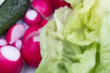 rode radijs, komkommer en sla