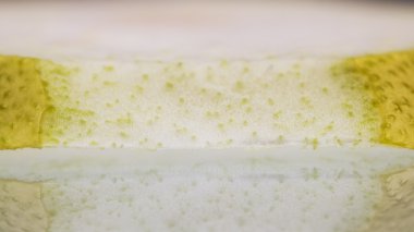 shaddock kabuğu dokusu ile