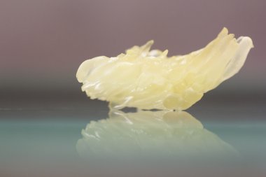 shaddock (narenciye maxima) parça