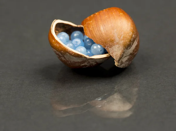 Hazelnoot Shell Met Kleine Blauwe Transparante Edelstenen Donkere Achtergrond — Stockfoto