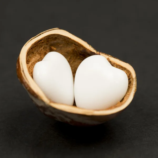 Hazelnut shell with heart shaped agate — Stock Photo, Image