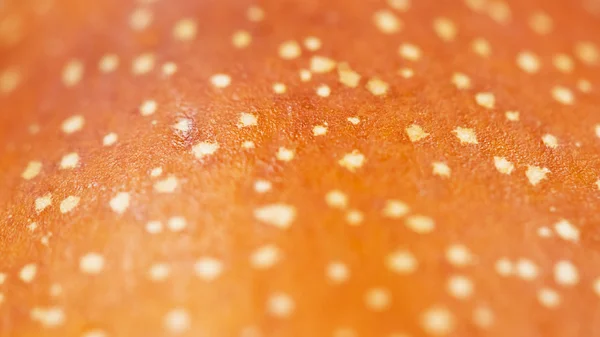 Dried granadilla peel — Stock Photo, Image