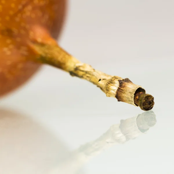 Cáscara de granadilla seca con fondo blanco y reflexión —  Fotos de Stock