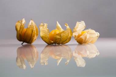 Physalis peruviana meyve