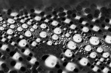 şeffaf plastik yüzeyde su damlaları