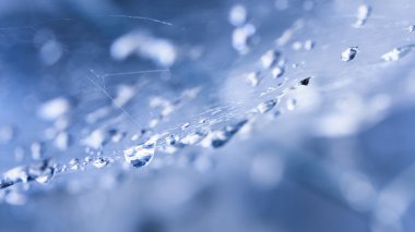 soyut kompozisyon ile su damlaları, örümcek ağı ve bokeh
