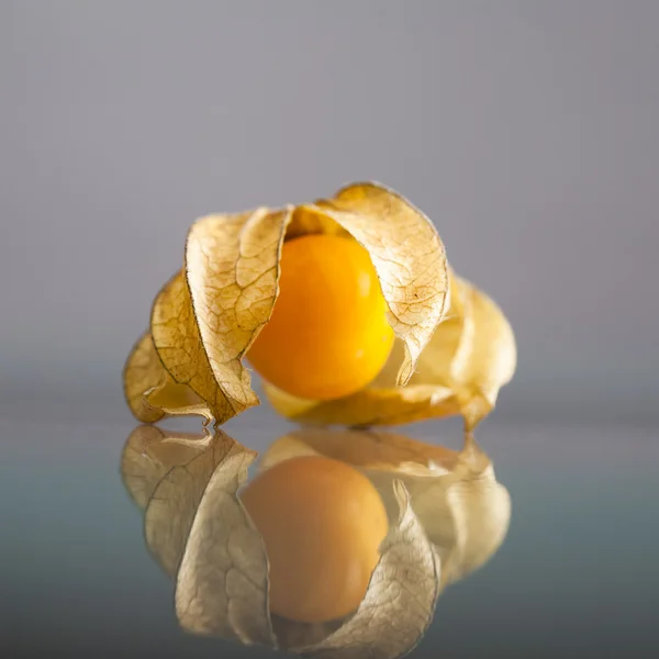 Physalis peruviana fruit — Stock Photo, Image