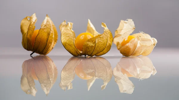 Physalis peruviana ovoce — Stock fotografie