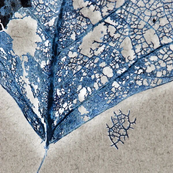 Blauwe filigraan abstract — Stockfoto