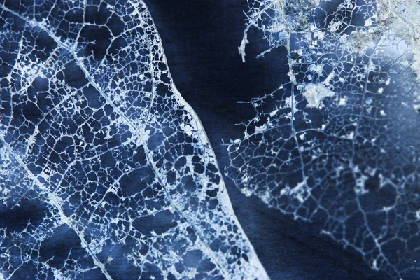 青いフィリグリー抽象 — ストック写真