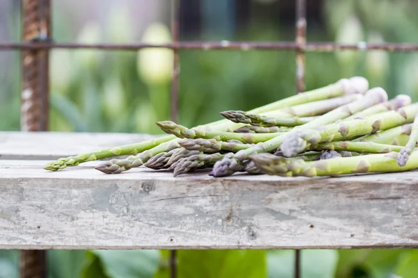 Asparagi — Foto Stock