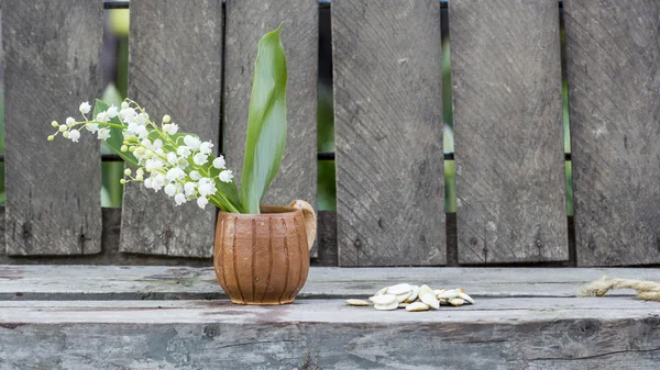 Dynia nasiona i konwalia kwiat — Zdjęcie stockowe