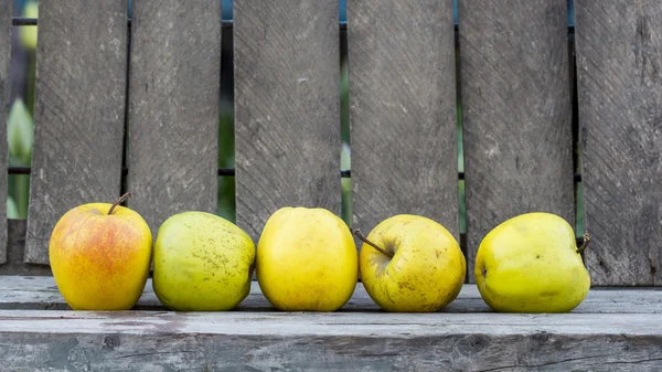 Manzanas amarillas — Foto de Stock