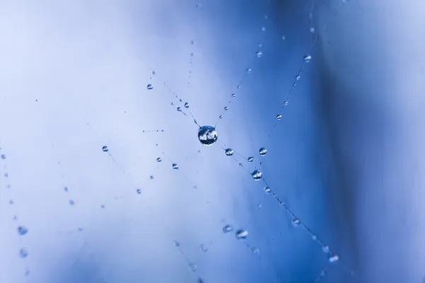 Abstracte compositie met water drops, spinnenwebben en bokeh — Stockfoto