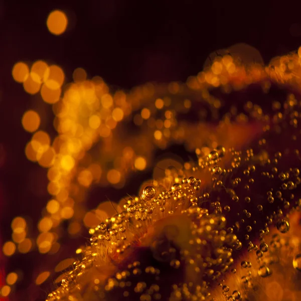 Bubbles ve ışık ile soyut — Stok fotoğraf