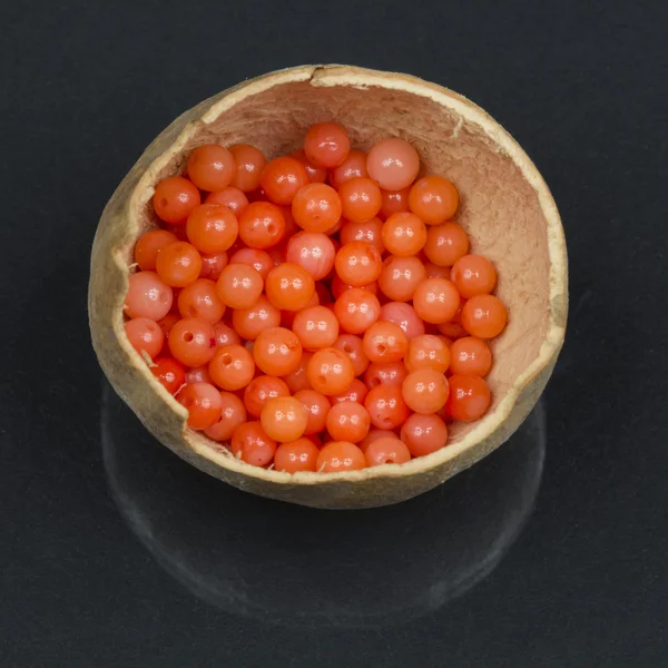 Pequeñas cuentas de coral en una concha de calabaza — Foto de Stock