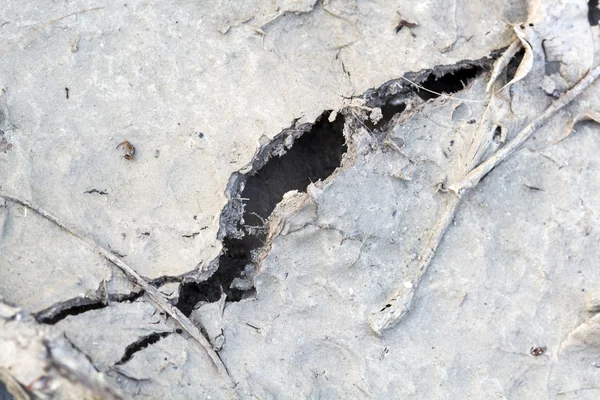 Cracked soil — Stock Photo, Image