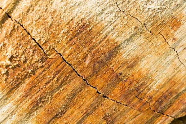 Wood textures — Stock Photo, Image