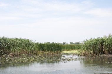 Tuna Deltası, Romanya