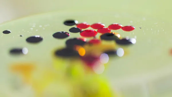 Composición colorida con aceite, agua y tinta —  Fotos de Stock