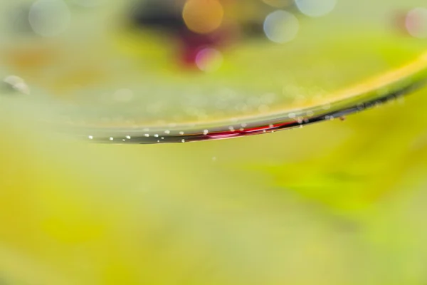 Colorful composition with oil, water and ink — Stock Photo, Image