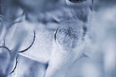 Sualtı soyut kompozisyon