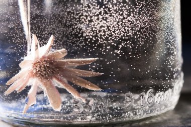 Kuru çiçek ile su altı kompozisyon