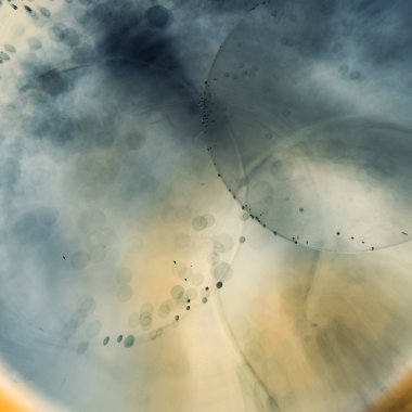 soyut sualtı oyunları