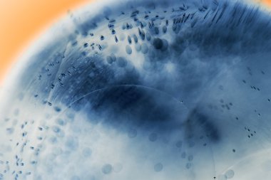 soyut sualtı oyunları