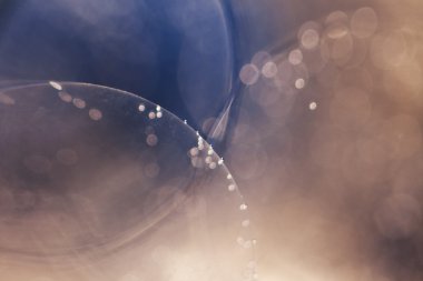 soyut sualtı oyunları