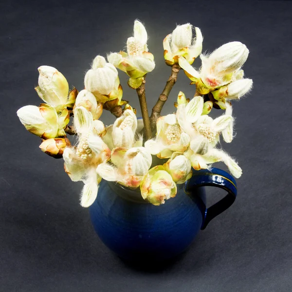 Bourgeons de châtaignier, fleurs et petites feuilles dans un pot en céramique bleue — Photo