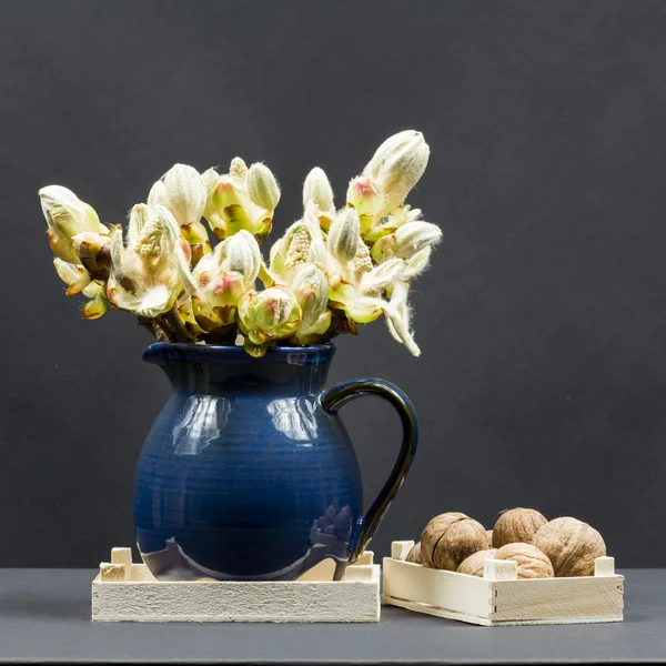 Chestnut buds, flowers and small leaves in a blue ceramic pot and walnuts — Stock Photo, Image