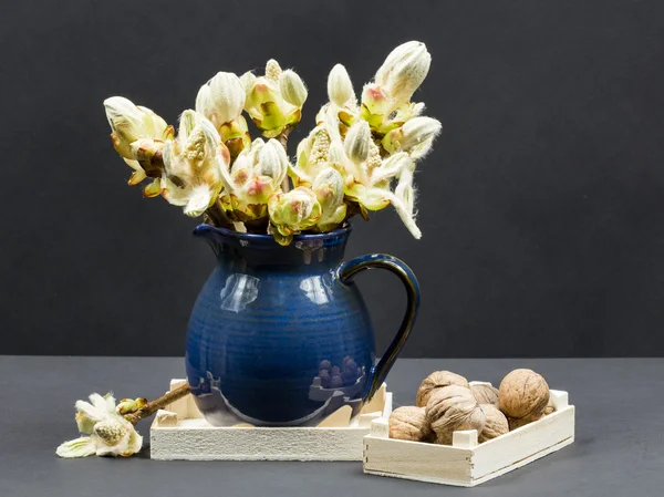 Chestnut buds, flowers and small leaves in a blue ceramic pot and walnuts — Stock Photo, Image