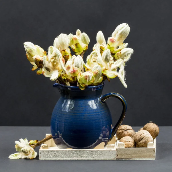 Kastanje knoppen, bloemen en kleine bladeren in een blauwe keramische pot en walnoten — Stockfoto