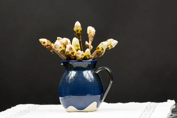 Bourgeons de châtaignier dans un pot en céramique bleue sur nappe blanche — Photo