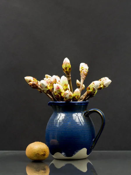 Kaštanové pupeny v modrý keramický hrnec a kiwi ovoce — Stock fotografie