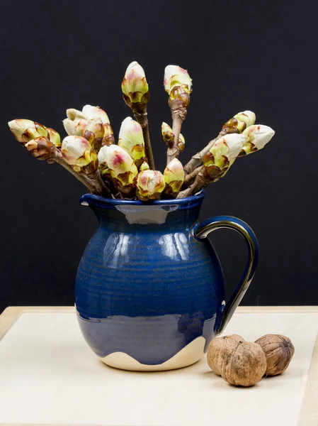 Chestnut buds in a blue ceramic pot and walnuts — Stock Photo, Image