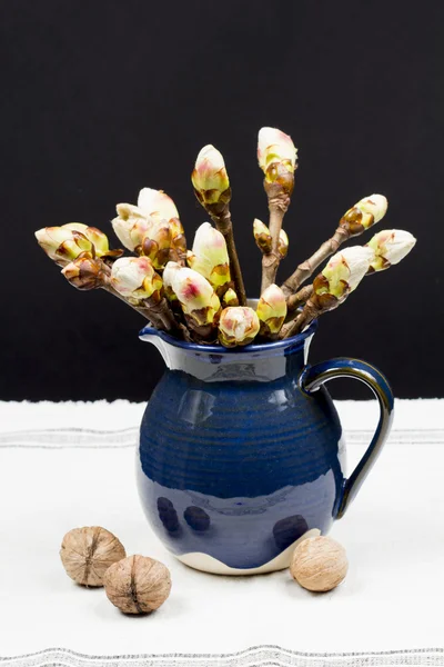 Chestnut buds in a blue ceramic pot and walnuts — Stock Photo, Image