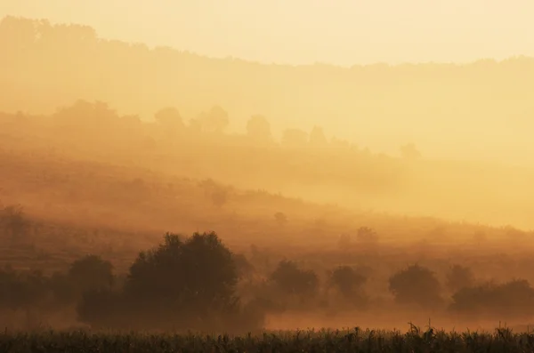 Foggy landscape — Stock Photo, Image