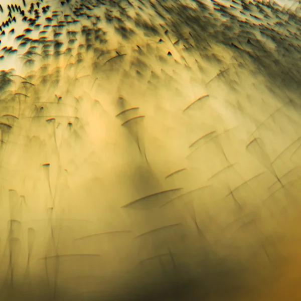 Abstract underwater games — Stock Photo, Image