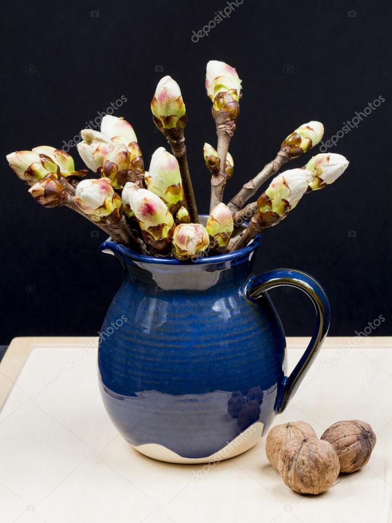 Chestnut buds in a blue ceramic pot and walnuts