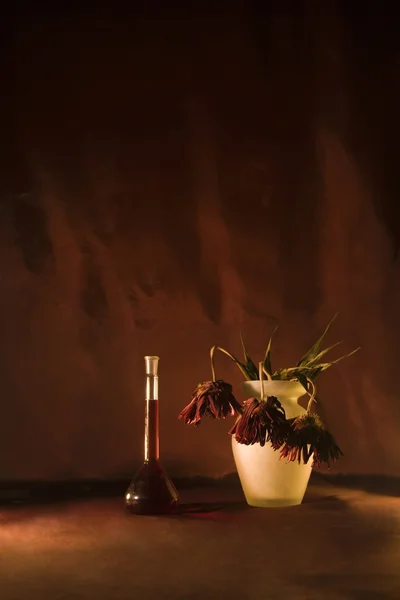 Provrör och torkade blommor i en mottagare med vin och lynnig rök — Stockfoto