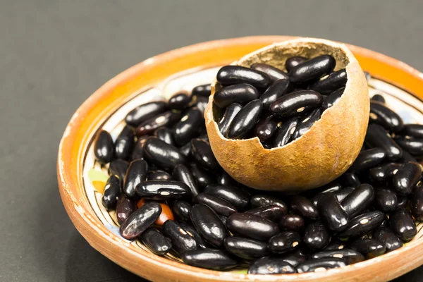 Sušené fazole v dýňové shell — Stock fotografie