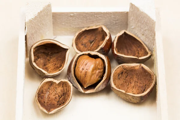 Hazelnuts in box — Stock Photo, Image