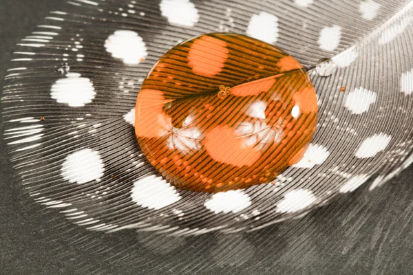 Guinea hen feather with orange water drop and dark background — Stock Photo, Image