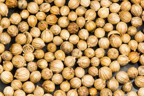 Koriander zaden textuur met zwarte achtergrond — Stockfoto