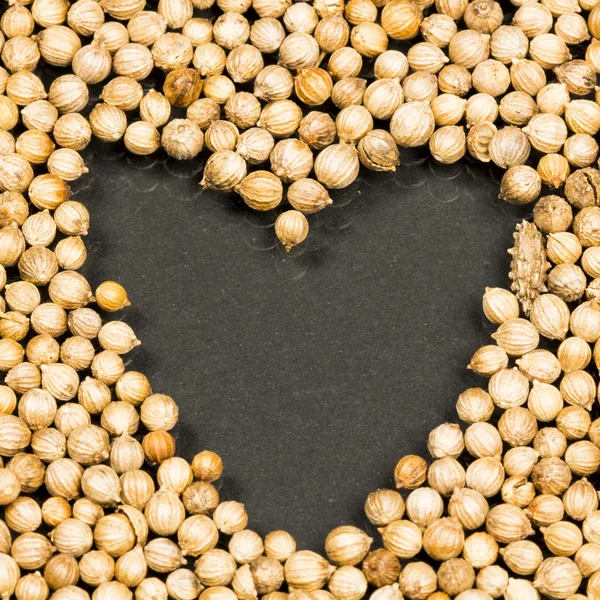 Coriander seeds — Stock Photo, Image